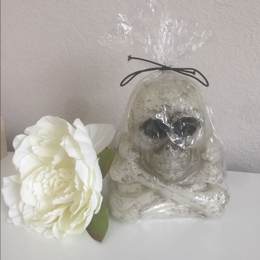 BRAND NEW Skull Candle